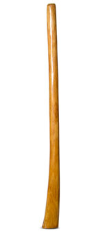 Gloss Finish Flared Didgeridoo (TW1209)
